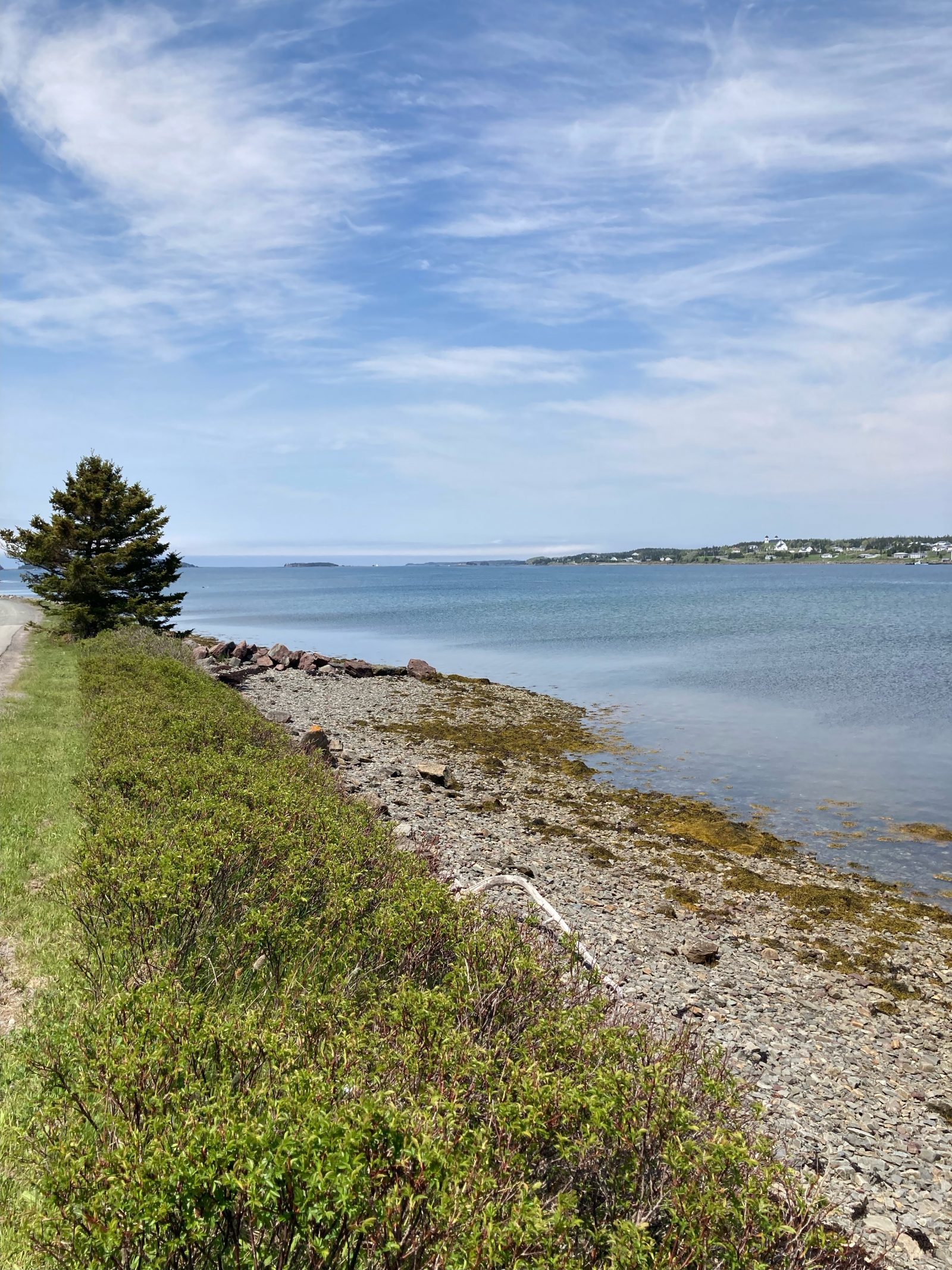 The coast near Arichat, Nova Scotia